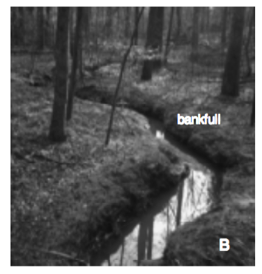 Figure 2b. Photograph of a stream showing bankfull as the top